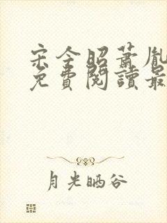 宋今昭萧胤小说免费阅读最新章节