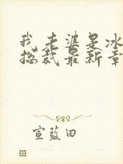 我老婆是冰山女总裁最新章节小说