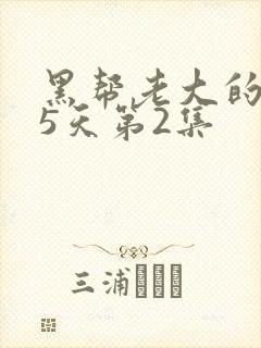 黑帮老大的365天第2集