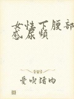 女性下腹部坠胀感尿频