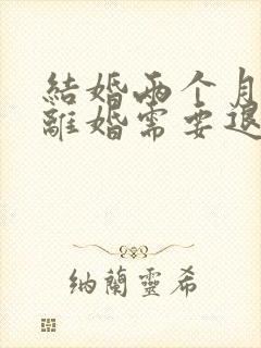 结婚两个月家暴离婚需要退彩礼吗