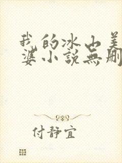 我的冰山美女老婆小说无删减