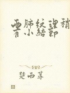 两肺纹理稍多并有小结节