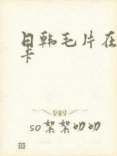日韩毛片在线不卡