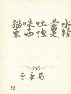 猫咪吐黄水不吃东西但是精神好