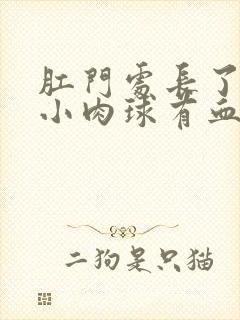 肛门处长了一个小肉球有血