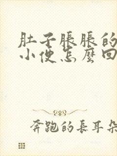 肚子胀胀的老想小便怎么回事