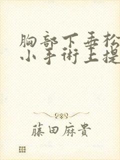 胸部下垂松弛缩小手术上提需要多少钱