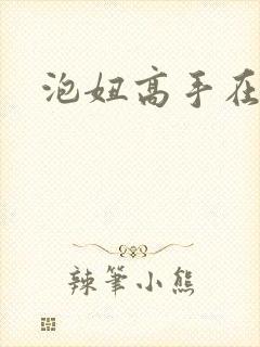 泡妞高手在都市封面