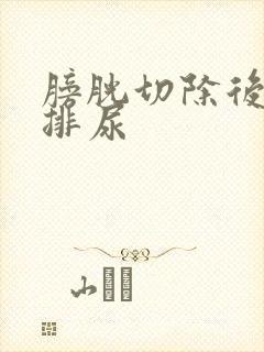 膀胱切除后如何排尿封面