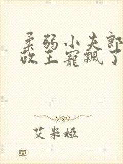 柔弱小夫郎被摄政王宠飘了小说免费阅读