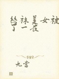 丝袜美女被我操了一夜封面