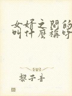 女婿之间的关系叫什么称呼