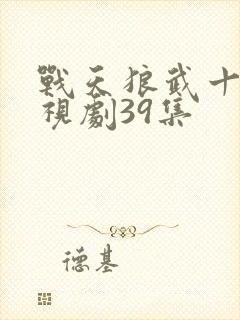 战天狼武十三电视剧39集封面