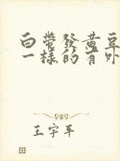 白带发黄豆腐渣一样的有外阴痒怎么治疗