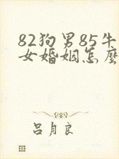 82狗男85牛女婚姻怎么化解