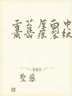 舌苔厚白中间有黄齿痕裂纹封面