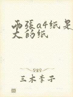 两张a4纸是多大的纸