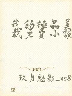 我的极品美女总裁免费小说