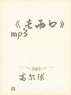 《老两口》伴奏mp3