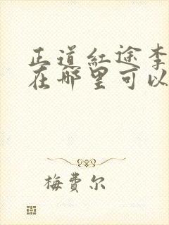 正道红途李初年在哪里可以免费阅读