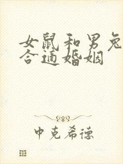 女鼠和男兔合不合适婚姻