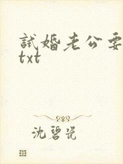 试婚老公要给力txt