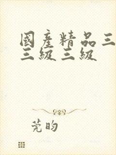 国产精品三级a三级三级