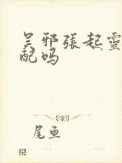 吴邪张起灵是官配吗