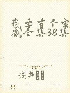 我要有个家电视剧全集38集免费观看封面