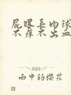 屁眼长肉球不痛不痒不出血