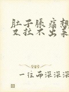 肚子胀痛想大便又拉不出来