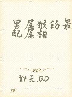 男属猴的最佳婚配属相