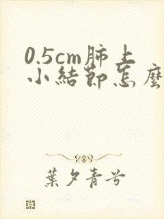 0.5cm肺上小结节怎么办