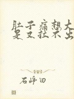 肚子痛想大便但是又拉不出来是什么原因