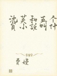 沈芙和五个消防员小说叫什么封面