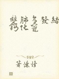 双肺多发结节及钙化灶