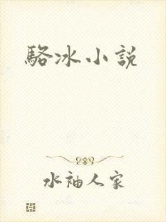 骆冰小说封面