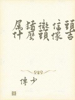 属猪微信头像用什么头像吉利旺财运