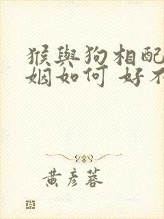 猴与狗相配的婚姻如何 好不好呢封面