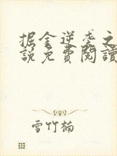 掘金逆袭之路小说免费阅读全文最新章节更新封面