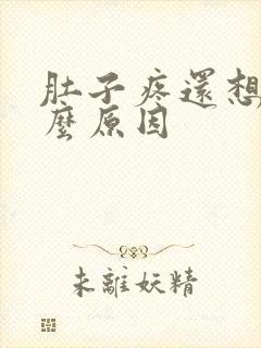 肚子疼还想吐什么原因