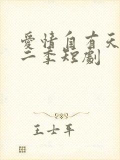 爱情自有天意第二季短剧