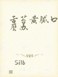 舌苔黄腻口臭怎么办