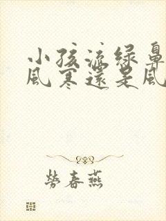 小孩流绿鼻涕是风寒还是风热