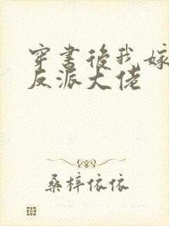 穿书后我嫁给了反派大佬封面