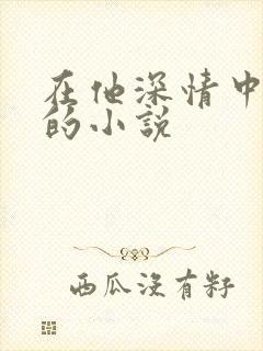 在他深情中陨落的小说