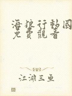 海狼行动国语版免费观看封面