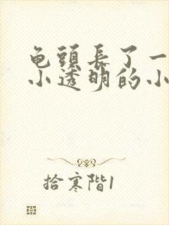 龟头长了一圈很小透明的小肉粒封面