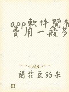 app软件开发费用一般多少钱封面